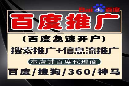 成功SEM主管的领导力与决策力——以实际案例为证